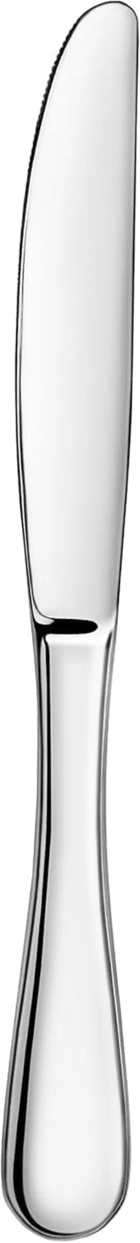 59335 Artaste Rain 18/10 Stainless Steel Silver Set Of 12 Dinner Knife 9.15-inch