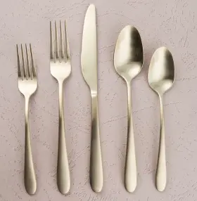 10t137 Cambridge Silversmiths Poet Satin Gold Champagne 20-pc Flatware Set New Nib