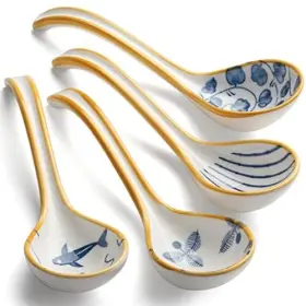 Chwaika 659446709697 Spoon Ceramic Chinese Soup Set Of 4 Porcelain Ramen Spoons Dinner Spo