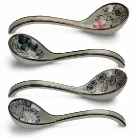 Evannt 616519754923 Ceramic Soup Spoons Set Of 4 Porcelain Japanese Spoon Long Handle Asian