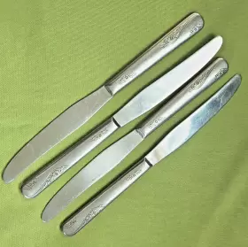 22215 Everbrite Stainless Favorite Pattern 4 Dinner Knives 8 5/8 Inch Glossy Flowers Usa