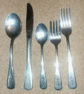 F B Rogers Fbr13 Fbr50 Burnished Stainless Flatware 41 Piece Set Lot Forks Spoon Knife