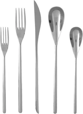 5pps-810-05 Fortessa Dragonfly 18/10 Stainless Steel Flatware 5 Piece Polished