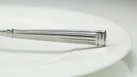 Fortessa 646292002485 Doria 18/10 Stainless Steel Flatware Serving Spoon 9-inch Silver #2