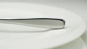 Fortessa 646292662252 Grand City 18/10 Stainless Steel Flatware 11.8-inch Soup Ladle Large #2