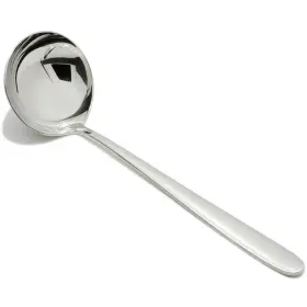 Fortessa 646292662252 Grand City 18/10 Stainless Steel Flatware 11.8-inch Soup Ladle Large