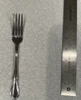 9947045 Fortessa Voletta Salad Fork 18/10 Logo Stamp 7.25 Inch Long Flatware Replacement #2