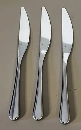 Gourmet Settings 624636252000 Windermere Stainless 3 Dinner Knives Matte Flatware 9.25 Inch
