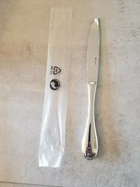 182472 Guy Degrenne Set Of 6 Isatis Series 18/10 Stainless Steel Table Knives