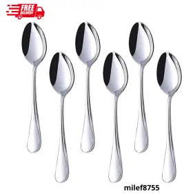 Hansgo 764595514013 Dinner Spoon Set Of 6 Large Teaspoons 6.7 Inches Stainless Steel Metal Spoons De