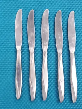 5-international International Ins109 Wm Rogers Stainless Textured Dinner Knives 8 1/2 Inch