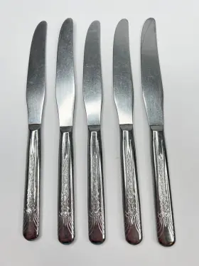 Ins206 International Silver Silco Co Lot Of 5 Dinner Knives 8 1/2 Inch Usa Stainless #2