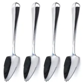 Jucoxo 781621142439 Grapefruit Spoons Set 4 Pieces 6.1 Inch Stainless Steel Half Serrated Citrus Fru