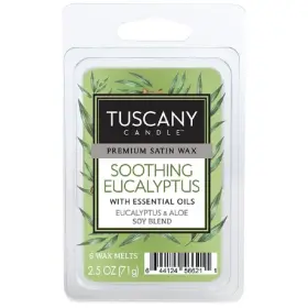Langley Empire Candle 56621 Fragrance Bars 2.5-ounce Soothing Eucalyptus Green