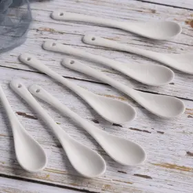 Leegg 638479380448 Porcelain Egg Spoons Ceramic Set Of 8 Tea Spoon Teaspoons For Coffee #2
