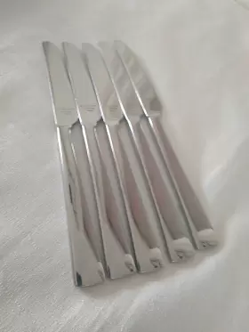 10875836 Lenox 5 Allerton Dinner Knives 18/10 Stainless Glossy