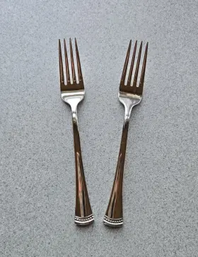 Lenox Por/sfx4 Stainless Flatware Portola Salad Forks Set Of Two Glossy