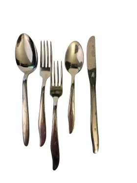 Rvs2 Marcrest 5 Pcs Mar-crest Atomic Burst Stainless Flatware Made Usa