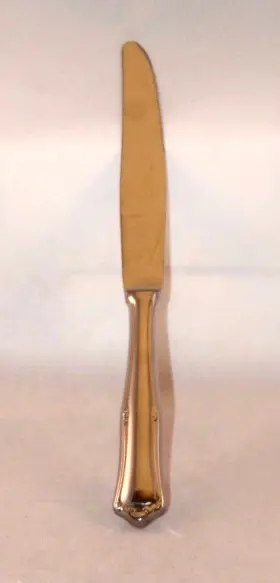 Az10221112 Mepra Bavaria Table Knife Hollow Handle Set Of 12 9.75 Inch Long S/s #2