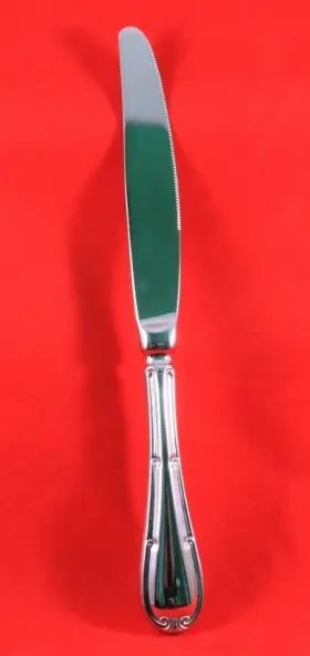 Az10291112 Mepra Raffaello Table Knife With Hollow Handle 9-1/4-inch Set Of 12 Stainless