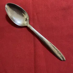 Mwd3 Montgomery Ward Tulips Serving Spoon Glossy Stainless Japan Flatware 8.25 Inch