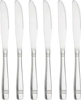 Obstnny 445041067026 Stainless Steel Dinner Knife 9-inch Set Of 12