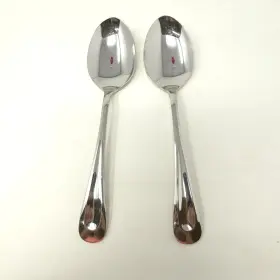 Oneida 072180731432 Sand Dune Glossy 2 Serving Spoons - All Handle