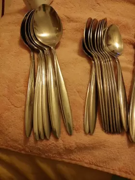 1881 Oneida Stainless Steel Rogers Ltd Flatware 49 Pieces Set For 5 Plus Extra