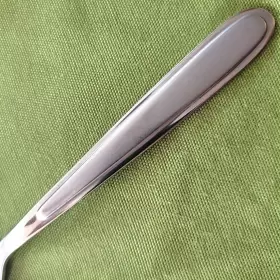 205077 Oneida 4 Salad Forks Peninsula Castle Jordan Laura Frost Center Glossy Edge #2