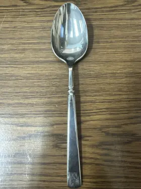 2267stsa Oneida Easton Stainless Steel Soup Spoon Brand New