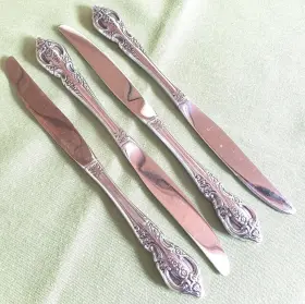 73236 Oneida Stainless Renoir-pembrooke Pattern 4 Dinner Knives 9 Inch Floral
