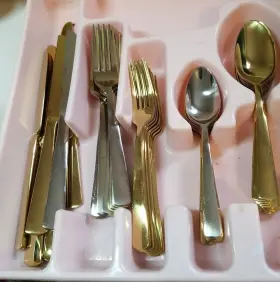 B1025020al21 Oneida Gold Aptitude Champagne 45 Piece Flatware Set 8 Person Serving