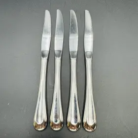 B641004a Oneida Sand Dune Dinner Knife Knives 18/0 Stainless Flatware 4 Pieces