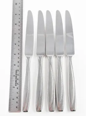 H153045a Oneida Camlynn Cleo Set Of 5 Stainless Steel Table Butter Dinner Knives 9.5 Inch #2