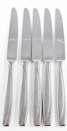 H153045a Oneida Camlynn Cleo Set Of 5 Stainless Steel Table Butter Dinner Knives 9.5 Inch
