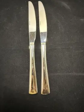 H246042a Oneida Cella Stainless Knife Set Of 2 Dinner Solid Glossy Flatware