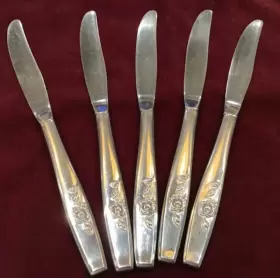 Ins612 Oneida Set 5 Our Rose Stainless Sss Flatware Dinner Knives Knife #2