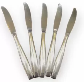 Ins612 Oneida Set 5 Our Rose Stainless Sss Flatware Dinner Knives Knife #3