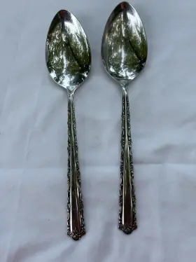 M8088 Oneida Deluxe Stainless Cherie Set Of 2 Serving Spoons Flatware Silverware