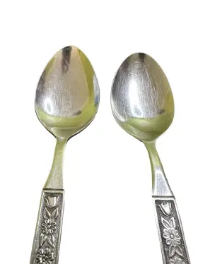73363 Oneida/northland Stainless Spring Fever Pattern Serving Spoons Korea Set Of 2 #3