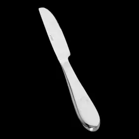Ohs506 Oneida Stainless Silverware Satin Handle Glossy Tip Flatware Dinner Knife #2