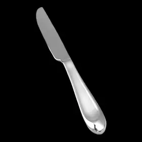 Ohs506 Oneida Stainless Silverware Satin Handle Glossy Tip Flatware Dinner Knife
