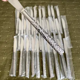 Ohs70 Oneida Lot 31 Pc Northland Stainless Flatware Glossy Hammered Dinner Knife