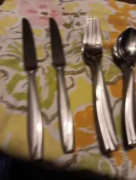 Oneida Ohscaml/sfx4 Stainless Flatware Camlynn -29 Pieces #2
