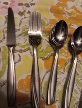 Oneida Ohscaml/sfx4 Stainless Flatware Camlynn -29 Pieces #3