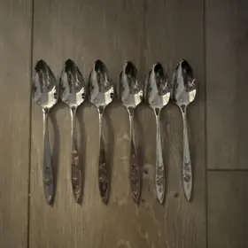 Frsx6 Oneida Ohsmyr/frsx6 6 Pcs Stainless My Rose Grapefruit Spoons Usa Made