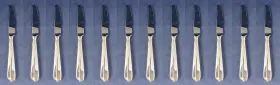 K2nfx12 Oneida Ohsrad/k2nfx12 Set Of Twelve - Stainless Flatware Radius Hollow-handle Dinner Knives Usa