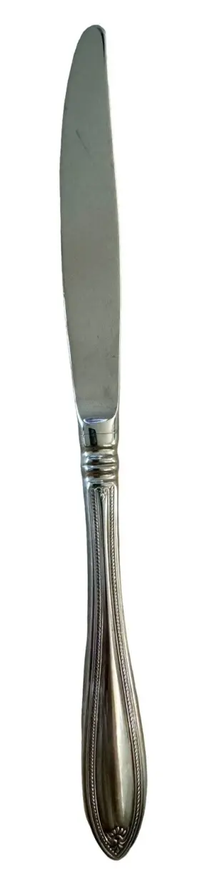 Oneida Ohsshera/k1mx2 Stainless 18/10 Sheraton Dinner Knife #2