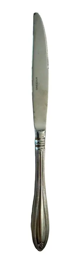 Oneida Ohsshera/k1mx2 Stainless 18/10 Sheraton Dinner Knife