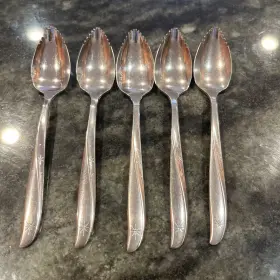 Frsx6 Oneida Ohstws/frsx6 Twin Star Citrus Fruit Spoons -set Of 5 -atomic Stainless Flatware